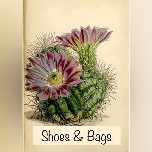 Shoes & Bags
